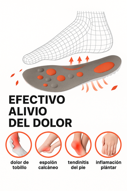 Plantillas Deportivas